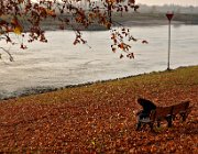 Lezen aan de IJssel  (c) Henk Melenhorst : Herfst